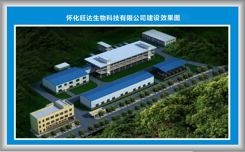 易游在线,易游在线(中国)